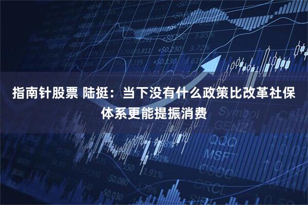 指南针股票 陆挺：当下没有什么政策比改革社保体系更能提振消费