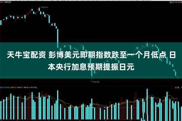 天牛宝配资 彭博美元即期指数跌至一个月低点 日本央行加息预期提振日元