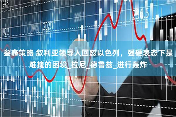 叁鑫策略 叙利亚领导人回怼以色列，强硬表态下是难掩的困境_拉尼_德鲁兹_进行轰炸